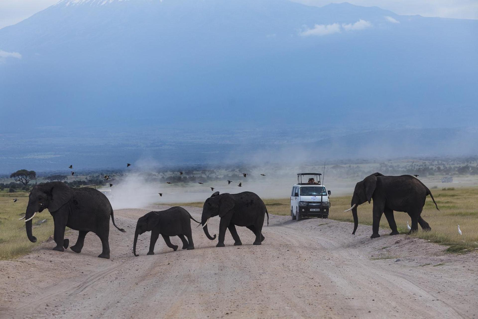 Kilimanjaro View Cabin-Amboseli Oloitokitok Ruang foto